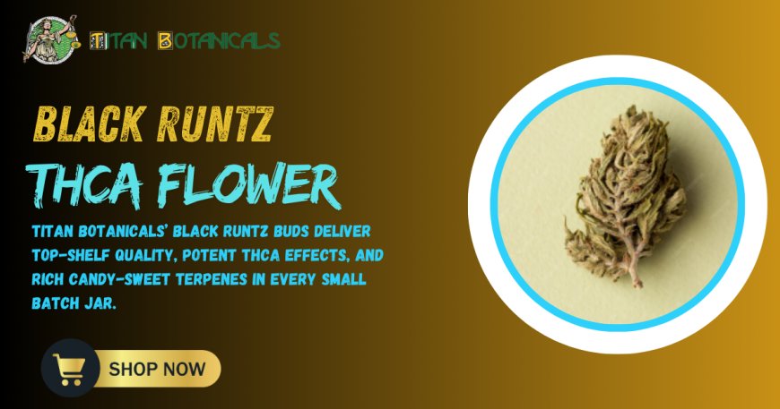 Runtz THCA Strain by Titan Botanicals: The Ultimate Hybrid Luxury