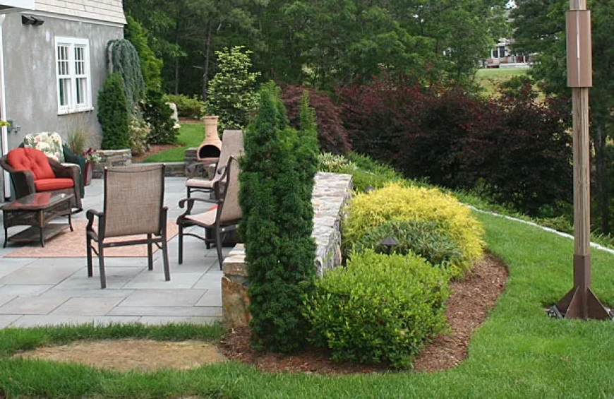 5 Signs It’s Time to Call Experts for Lawn Care Services in South Shore