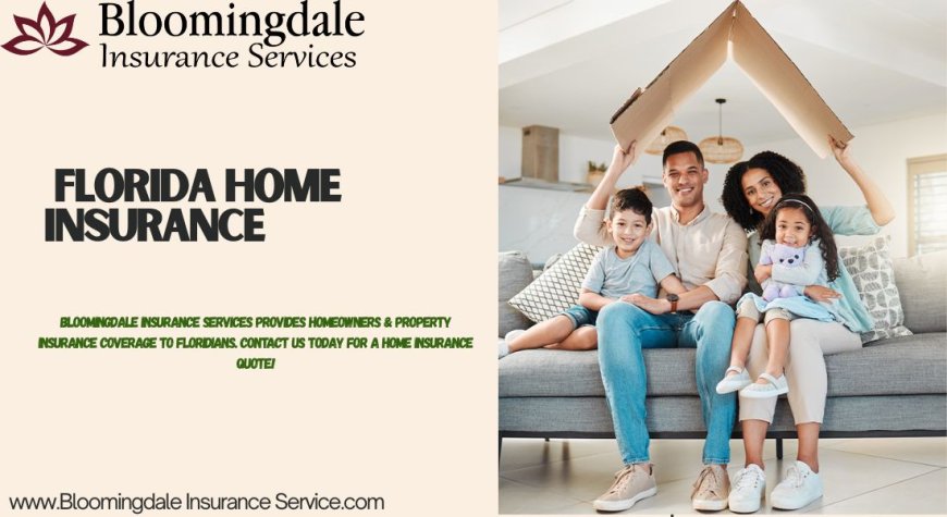 Florida Home Insurance Guide by Bloomingdale Insurance Services